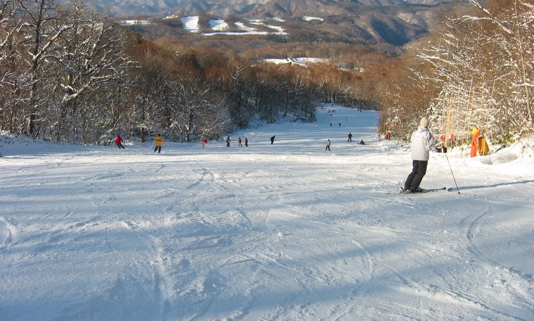 エーデルワイススキーリゾート
