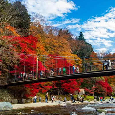 紅の吊り橋